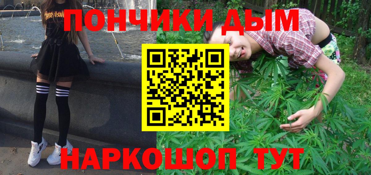 Каннабис план Пугачёв